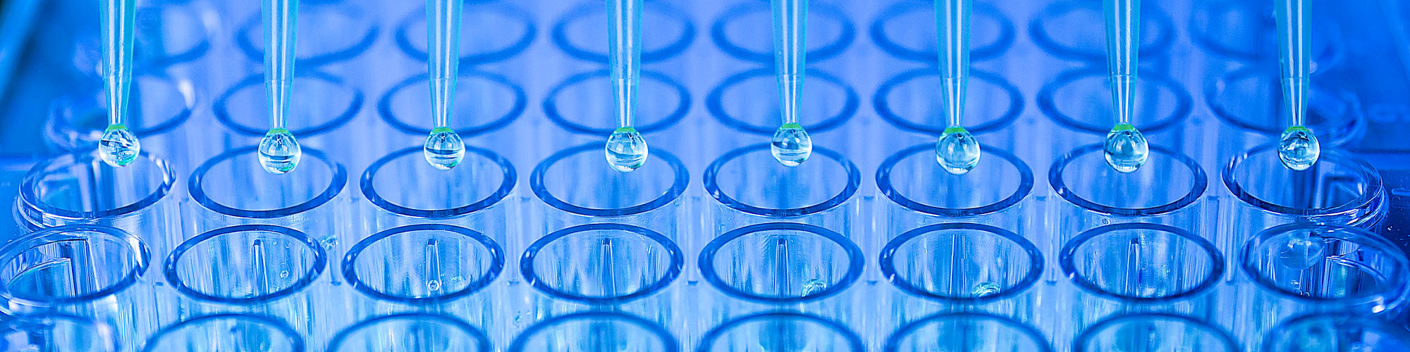 services alta biotech